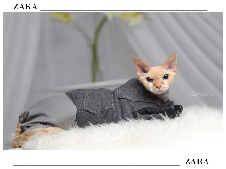 ZARA ______________________________________ ______________________________________ ZARA