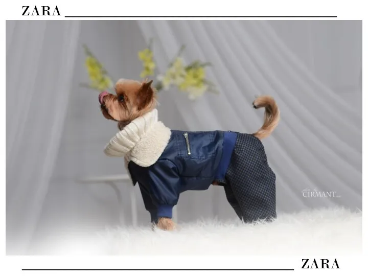 ZARA ______________________________________ ______________________________________ ZARA