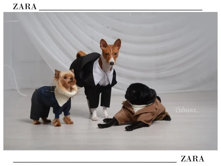 ZARA ______________________________________ ______________________________________ ZARA