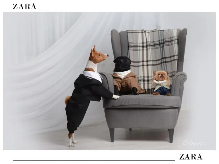 ZARA ______________________________________ ______________________________________ ZARA