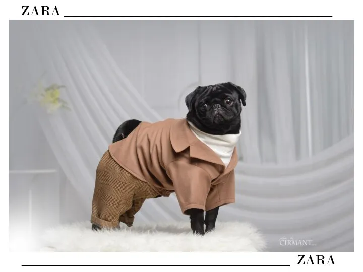 ZARA ______________________________________ ______________________________________ ZARA