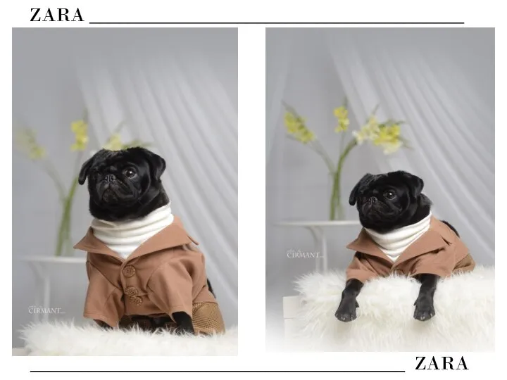 ZARA ______________________________________ ______________________________________ ZARA