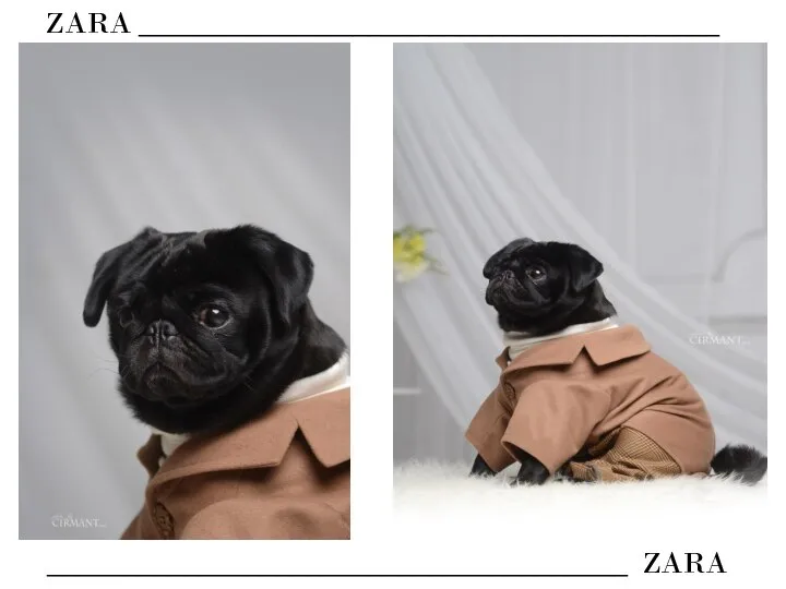 ZARA ______________________________________ ______________________________________ ZARA