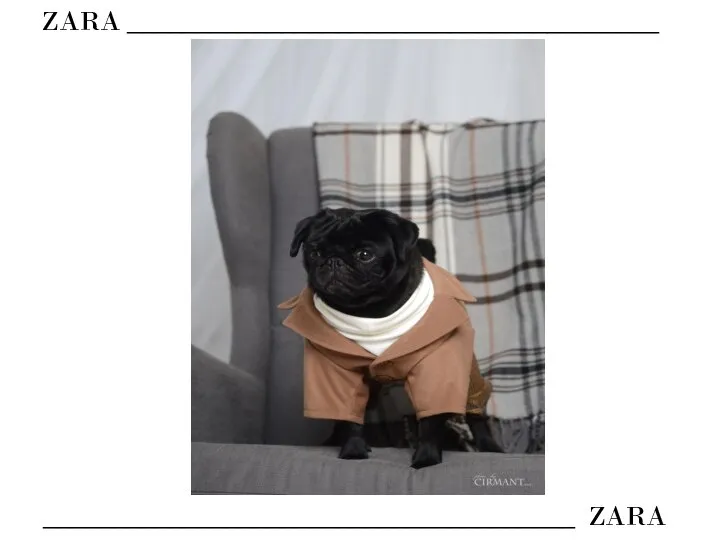 ZARA ______________________________________ ______________________________________ ZARA