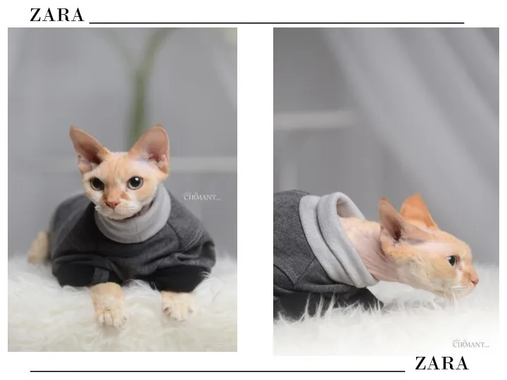 ZARA ______________________________________ ______________________________________ ZARA