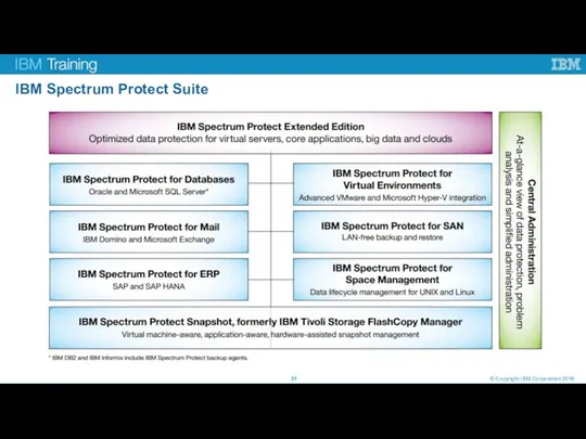 IBM Spectrum Protect Suite © Copyright IBM Corporation 2016