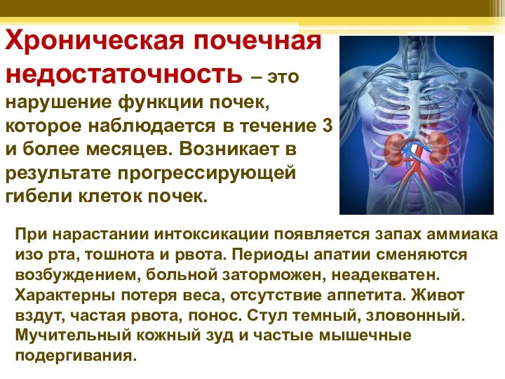 Хроническая почечная недостаточность – это нарушение функции почек, которое наблюдается в течение