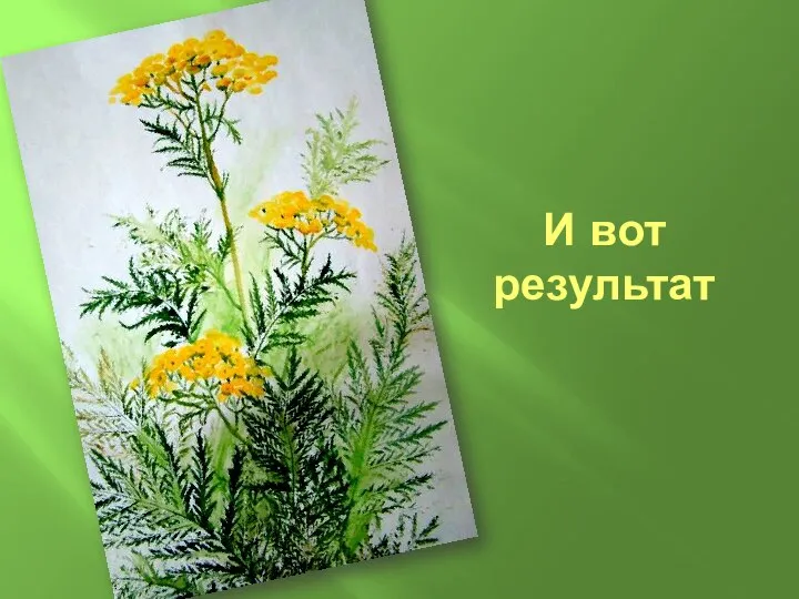 И вот результат