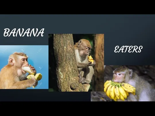 EATERS BANANA