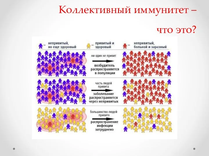 Коллективный иммунитет – что это?