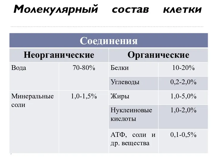 Молекулярный состав клетки