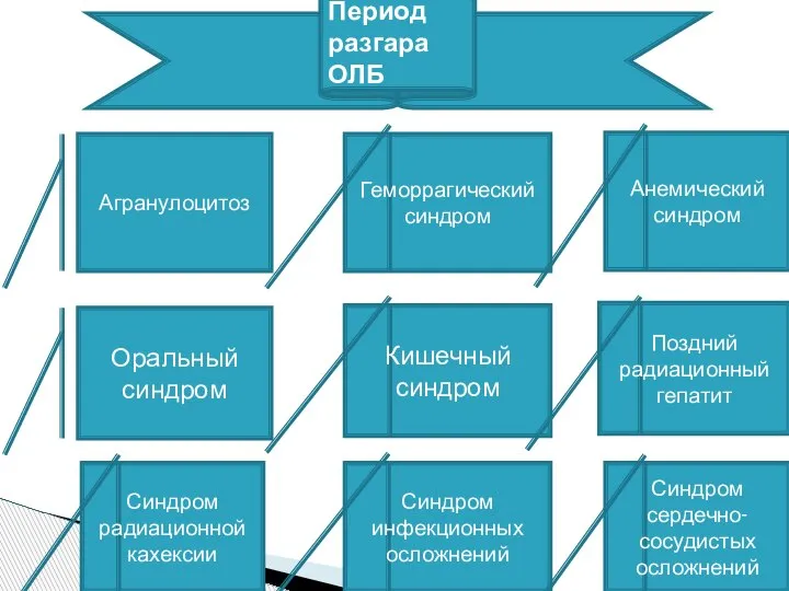 Период разгара ОЛБ Агранулоцитоз Геморрагический синдром Анемический синдром Оральный синдром Кишечный синдром