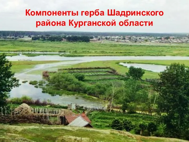 Компоненты герба Шадринского района Курганской области