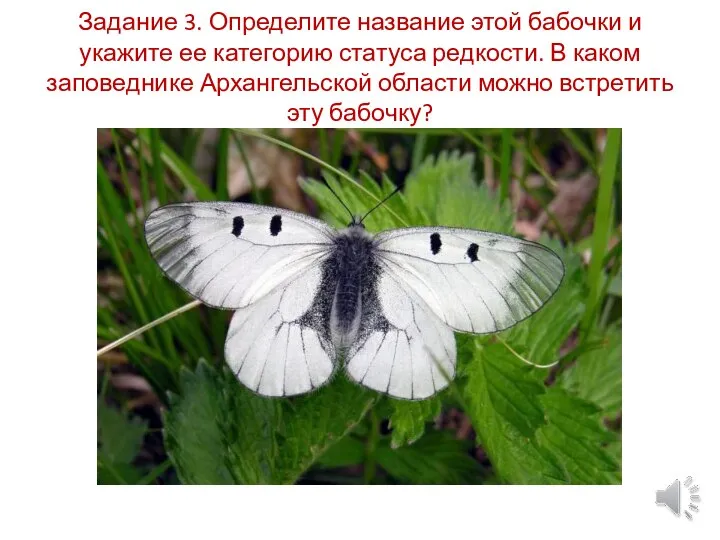 Задание 3. Определите название этой бабочки и укажите ее категорию статуса редкости.