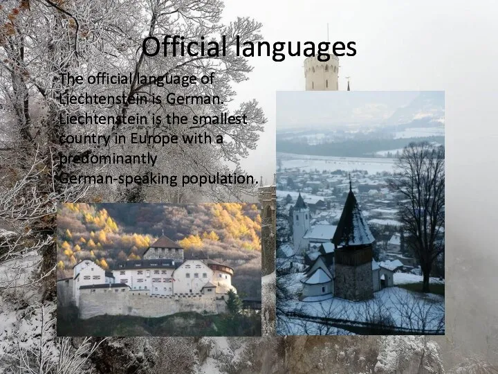 Official languages The official language of Liechtenstein is German. Liechtenstein is the