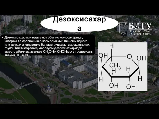 Дезоксисахара Дезоксисахарами называют обычно моносахариды, которые по сравнению с нормальными лишены одного