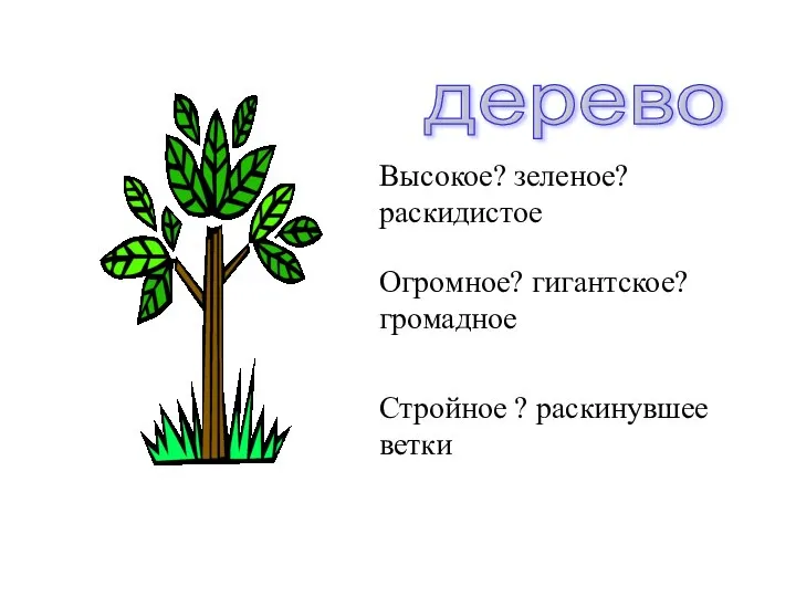 дерево Высокое? зеленое? раскидистое Огромное? гигантское? громадное Стройное ? раскинувшее ветки