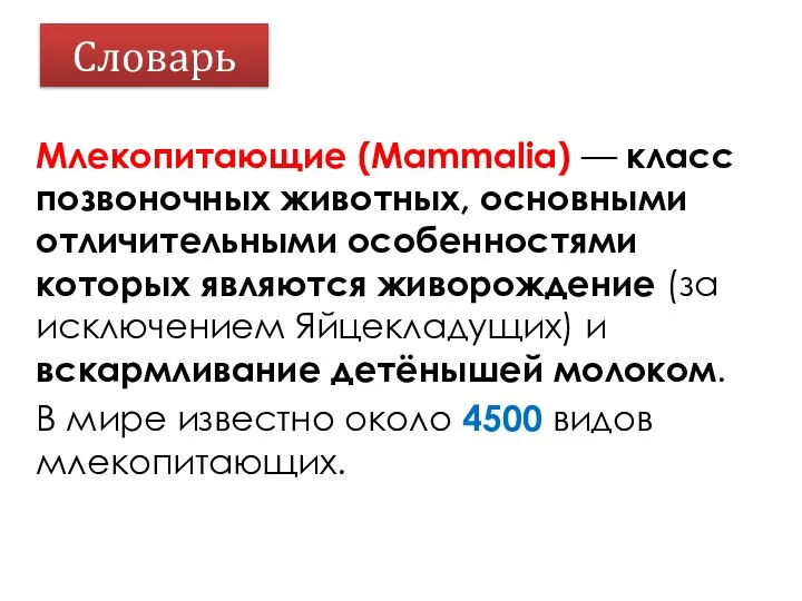 Словарь Млекопитающие (Mammalia) — класс позвоночных животных, основными отличительными особенностями которых являются