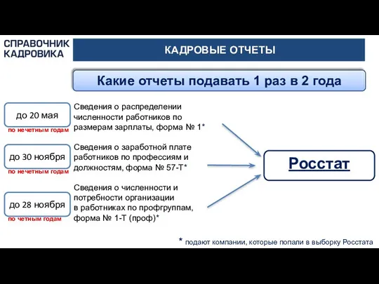 КАДРОВЫЕ ОТЧЕТЫ Какие отчеты подавать 1 раз в 2 года Сведения о