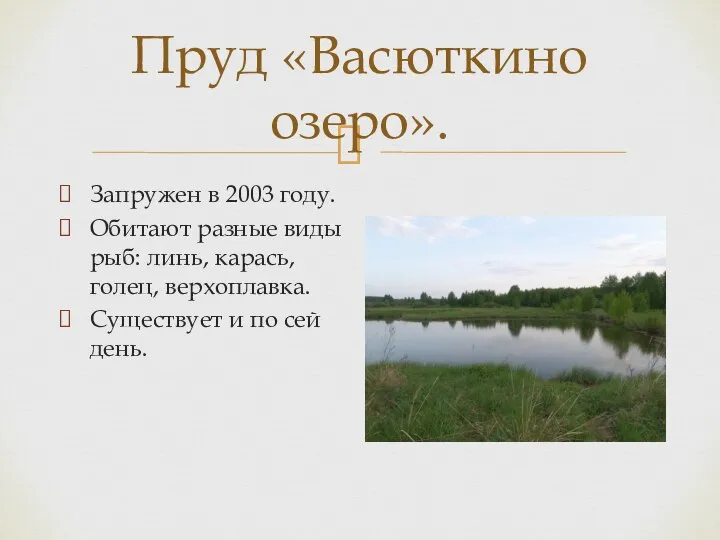 Пруд «Васюткино озеро». Запружен в 2003 году. Обитают разные виды рыб: линь,