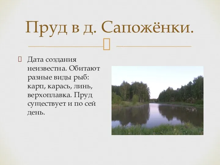 Пруд в д. Сапожёнки. Дата создания неизвестна. Обитают разные виды рыб: карп,