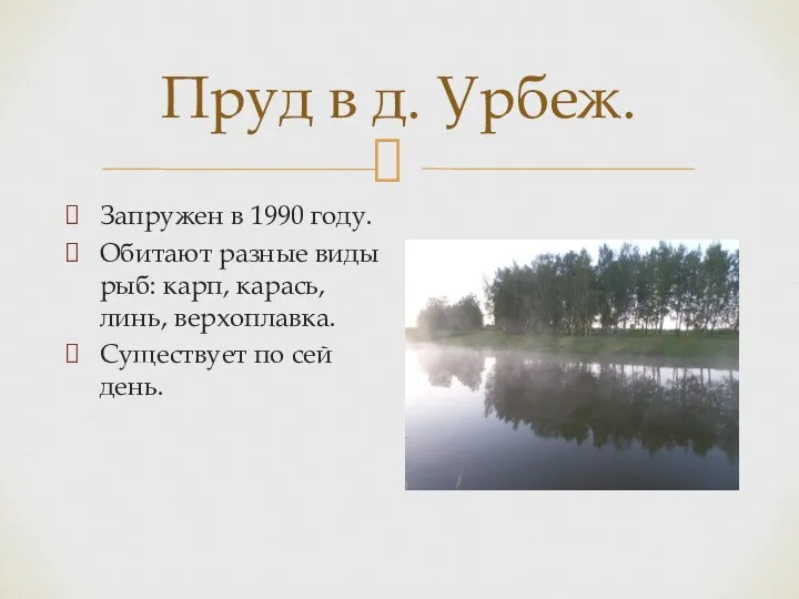 Пруд в д. Урбеж. Запружен в 1990 году. Обитают разные виды рыб: