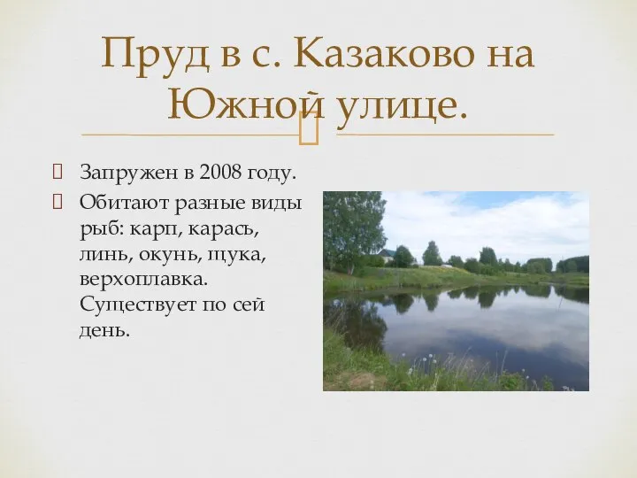 Пруд в с. Казаково на Южной улице. Запружен в 2008 году. Обитают