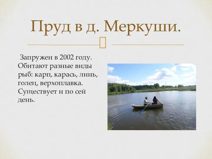 Пруд в д. Меркуши. Запружен в 2002 году. Обитают разные виды рыб: