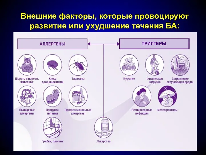 Внешние факторы, которые провоцируют развитие или ухудшение течения БА: ТРИГГЕРЫ