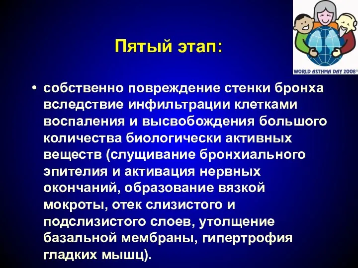 Пятый этап: собственно повреждение стенки бронха вследствие инфильтрации клетками воспаления и высвобождения