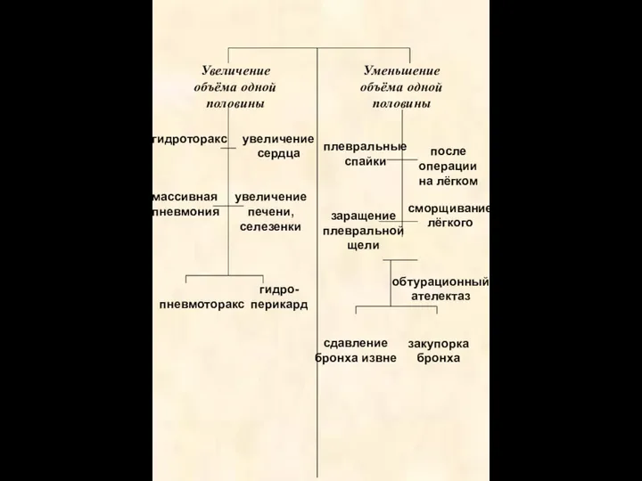 Увеличение объёма одной половины Уменьшение объёма одной половины гидроторакс массивная пневмония пневмоторакс