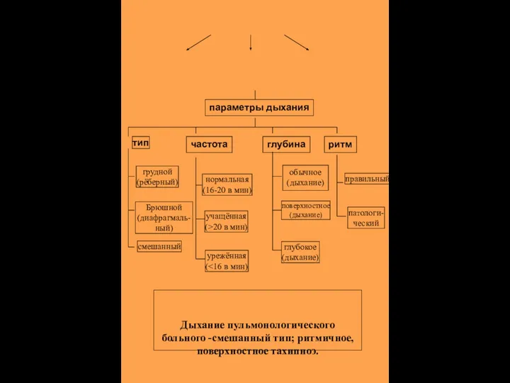 параметры дыхания тип частота глубина ритм грудной (рёберный) Брюшной (диафрагмаль- ный) смешанный