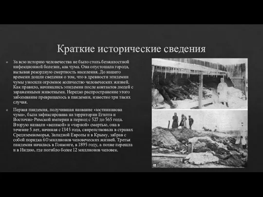 Краткие исторические сведения За всю историю человечества не было столь безжалостной инфекционной