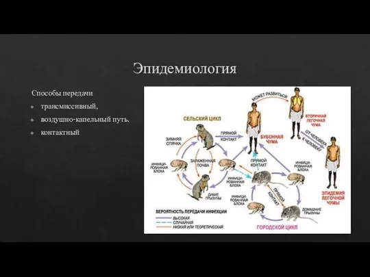 Эпидемиология Способы передачи трансмиссивный, воздушно-капельный путь. контактный