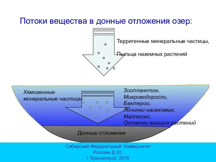 Терригенные минеральные частицы, Пыльца наземных растений Зоопланктон, Микроводоросли, Бактерии, Личинки насекомых, Маллюски,