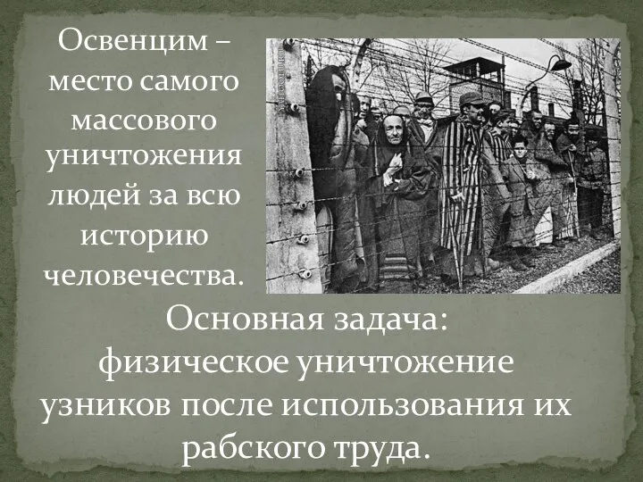 Освенцим – место самого массового уничтожения людей за всю историю человечества. Основная