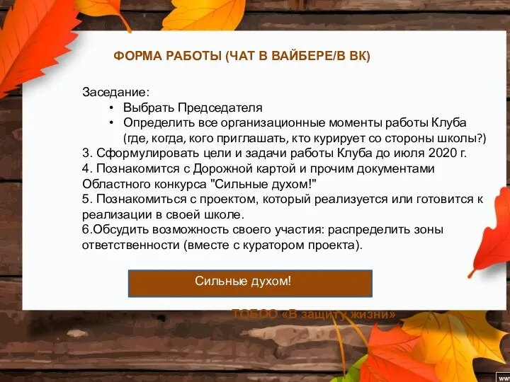 ФОРМА РАБОТЫ (ЧАТ В ВАЙБЕРЕ/В ВК) ТОБОО «В защиту жизни» Сильные духом!