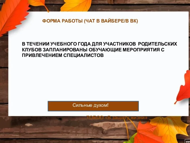 ФОРМА РАБОТЫ (ЧАТ В ВАЙБЕРЕ/В ВК) ТОБОО «В защиту жизни» Сильные духом!