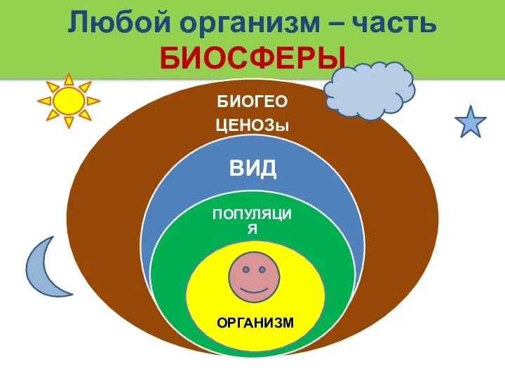 Любой организм – часть БИОСФЕРЫ