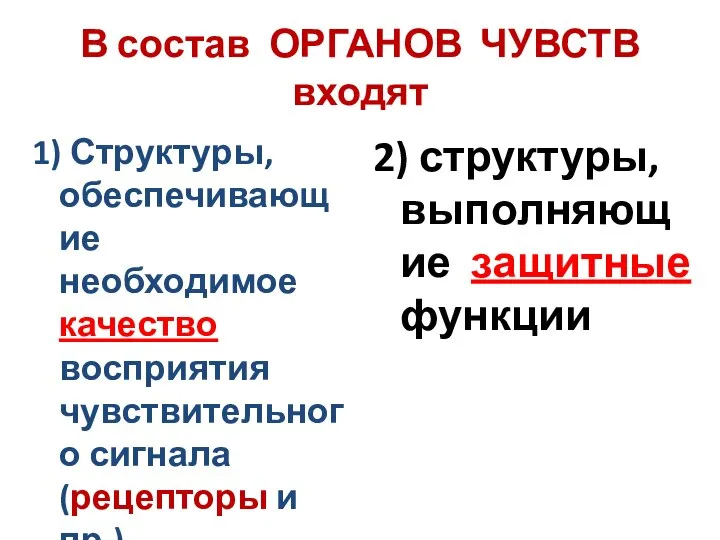 В состав ОРГАНОВ ЧУВСТВ входят 1) Структуры, обеспечивающие необходимое качество восприятия чувствительного