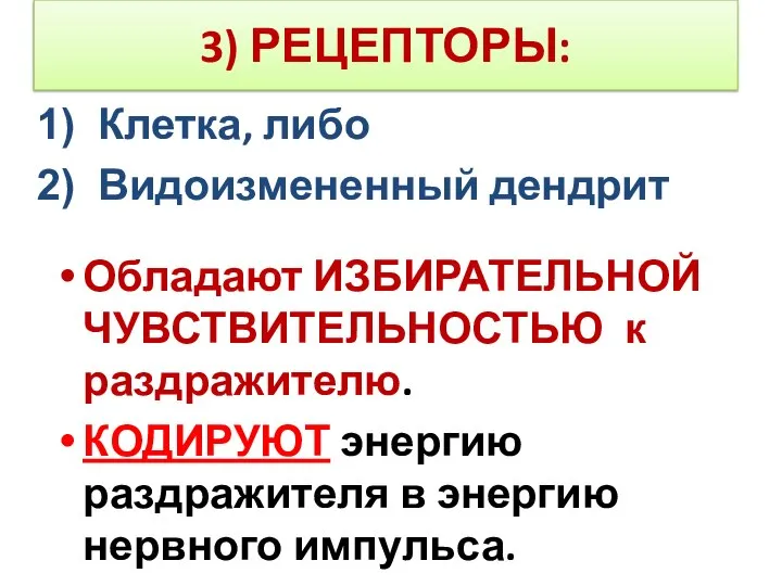 3) РЕЦЕПТОРЫ: Клетка, либо Видоизмененный дендрит Обладают ИЗБИРАТЕЛЬНОЙ ЧУВСТВИТЕЛЬНОСТЬЮ к раздражителю. КОДИРУЮТ