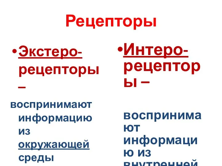 Рецепторы Экстеро-рецепторы – воспринимают информацию из окружающей среды Интеро-рецепторы – воспринимают информацию из внутренней среды