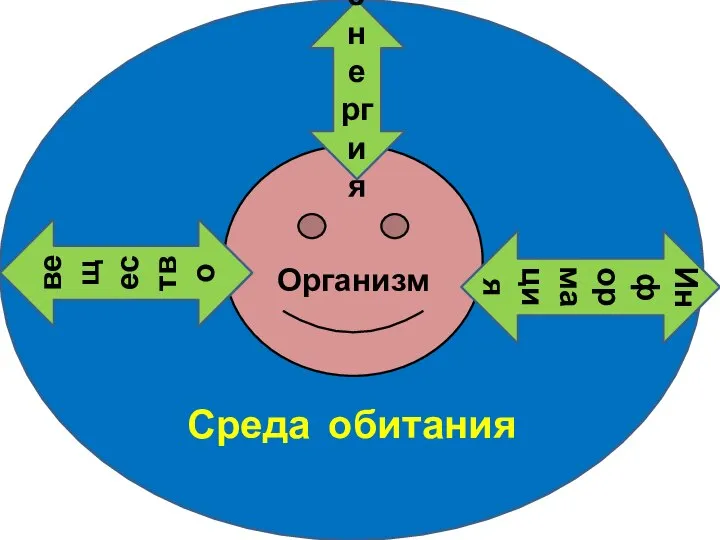 Среда обитания Организм энергия Информация вещество