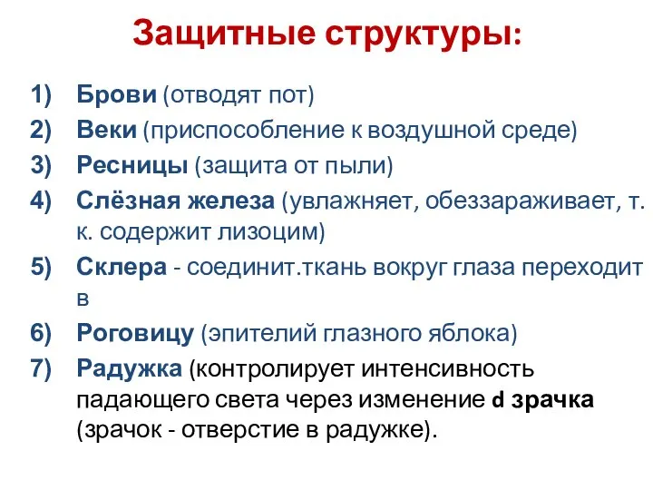 Защитные структуры: Брови (отводят пот) Веки (приспособление к воздушной среде) Ресницы (защита