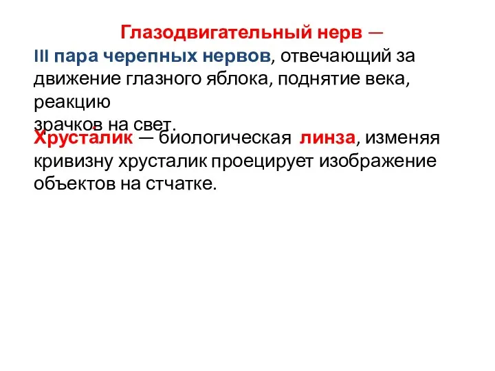 Глазодвигательный нерв — III пара черепных нервов, отвечающий за движение глазного яблока,