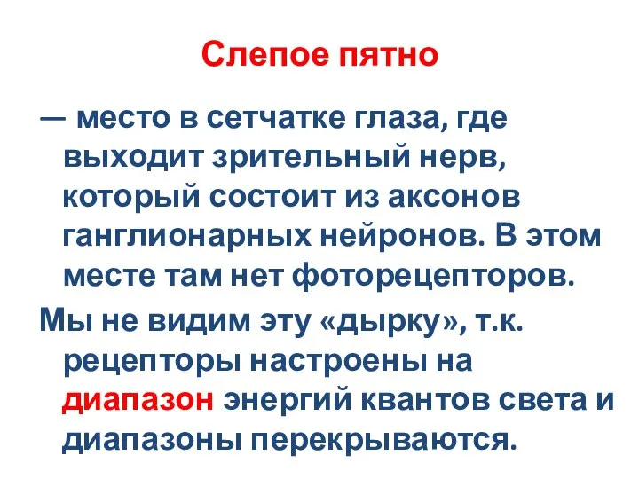 Слепое пятно — место в сетчатке глаза, где выходит зрительный нерв, который