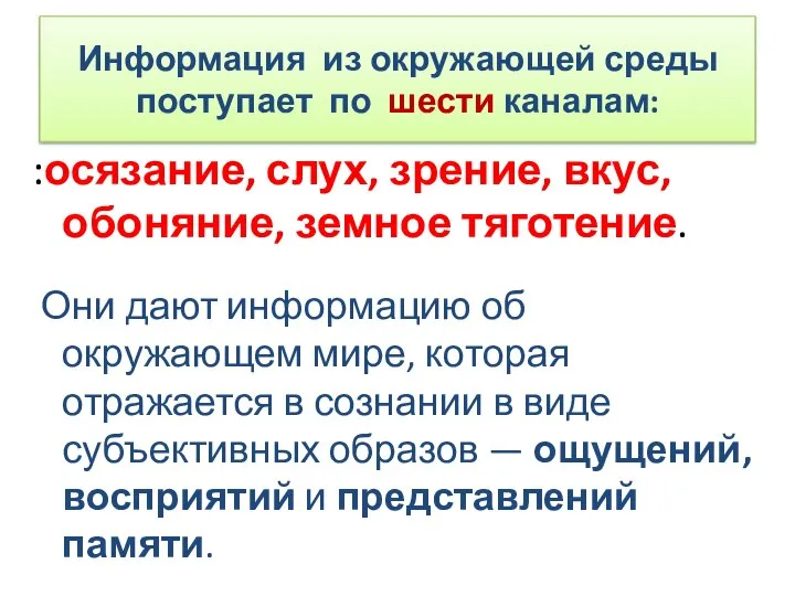 Информация из окружающей среды поступает по шести каналам: :осязание, слух, зрение, вкус,