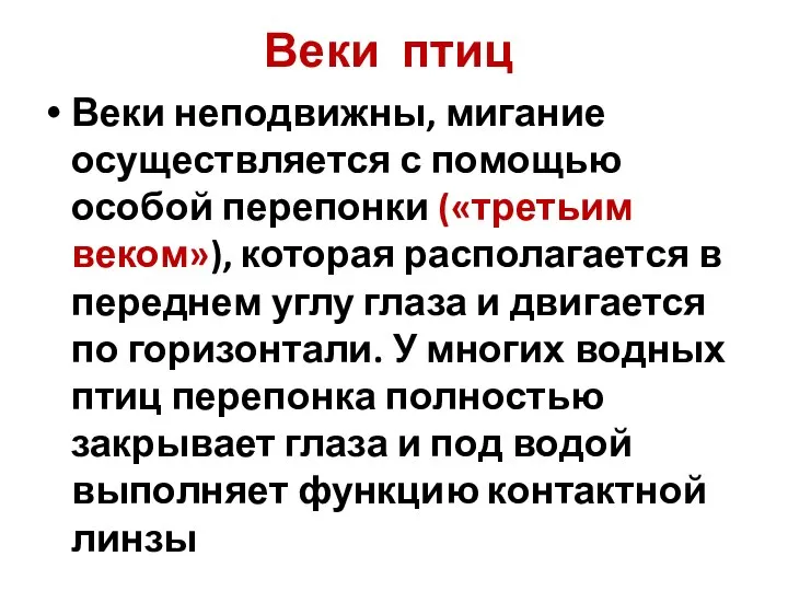 Веки птиц Веки неподвижны, мигание осуществляется с помощью особой перепонки («третьим веком»),