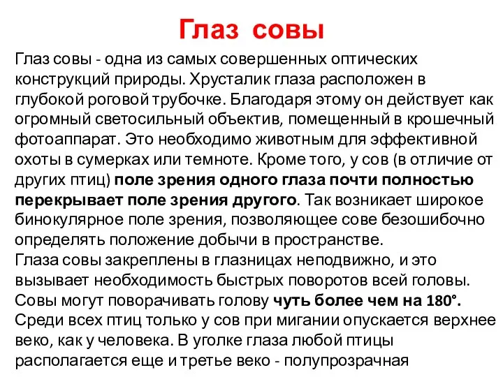 Глаз совы Глаз совы - одна из самых совершенных оптических конструкций природы.