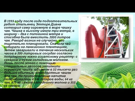 В 1993 году после года подготовительных работ итальянец Этторе Диана сотворил саму